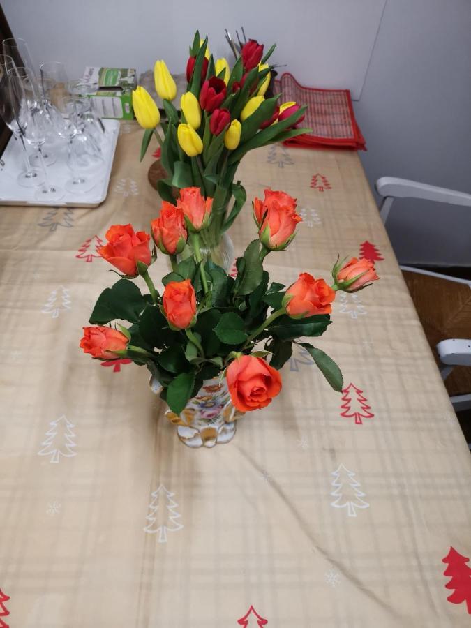 דירות ווילג'וף Rose מראה חיצוני תמונה